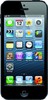 Apple iPhone 5 16GB - Сургут